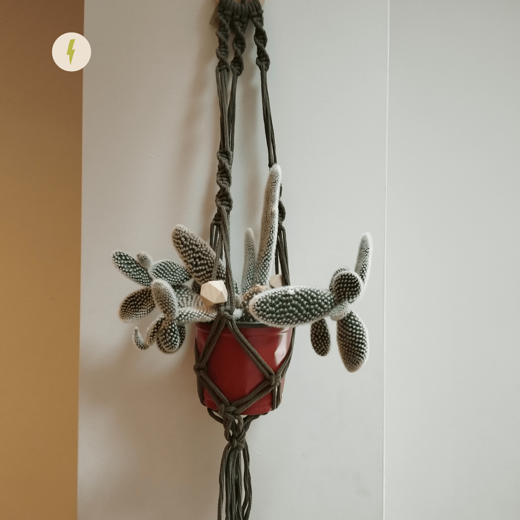 Khaki Macrame Planter