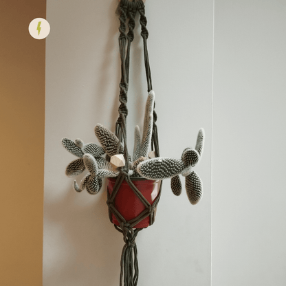 Khaki Macrame Planter